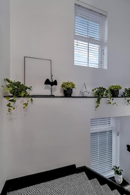 The Eden Loft: A Stylish Retreat *